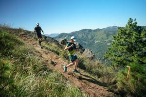 BIB: 
                            <button type="button" onclick="openModal(26614126)" class="btn btn-primary btn-sm float-right btn-popup" data-toggle="modal" data-target=".modal-high-quality">
                        <i class="fas fa-shopping-cart"></i> Add to Cart
                    </button>
                                            <button type="button" onclick="isThisMe(26614126, true)" class="btn btn-success btn-sm float-right btn-popup btn-isme hidden" data-toggle="tooltip" data-placement="bottom" title="นี่คือรูปของคุณใช่ไหม คลิกที่นี่เพื่อเอาเข้าอัลบั้ม">
                        <i class="fas fa-plus"></i> Add to album
                    </button>
                    <button type="button" onclick="isThisMe(26614126, false)" class="btn btn-warning btn-sm float-right btn-popup btn-isnotme hidden">
                        <i class="fas fa-ban"></i> Remove from album
                    </button>