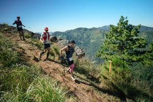 BIB: 
                            <button type="button" onclick="openModal(26613495)" class="btn btn-primary btn-sm float-right btn-popup" data-toggle="modal" data-target=".modal-high-quality">
                        <i class="fas fa-shopping-cart"></i> Add to Cart
                    </button>
                                            <button type="button" onclick="isThisMe(26613495, true)" class="btn btn-success btn-sm float-right btn-popup btn-isme hidden" data-toggle="tooltip" data-placement="bottom" title="นี่คือรูปของคุณใช่ไหม คลิกที่นี่เพื่อเอาเข้าอัลบั้ม">
                        <i class="fas fa-plus"></i> Add to album
                    </button>
                    <button type="button" onclick="isThisMe(26613495, false)" class="btn btn-warning btn-sm float-right btn-popup btn-isnotme hidden">
                        <i class="fas fa-ban"></i> Remove from album
                    </button>