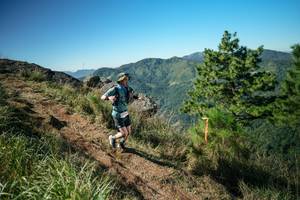 BIB: 
                            <button type="button" onclick="openModal(26612658)" class="btn btn-primary btn-sm float-right btn-popup" data-toggle="modal" data-target=".modal-high-quality">
                        <i class="fas fa-shopping-cart"></i> Add to Cart
                    </button>
                                            <button type="button" onclick="isThisMe(26612658, true)" class="btn btn-success btn-sm float-right btn-popup btn-isme hidden" data-toggle="tooltip" data-placement="bottom" title="นี่คือรูปของคุณใช่ไหม คลิกที่นี่เพื่อเอาเข้าอัลบั้ม">
                        <i class="fas fa-plus"></i> Add to album
                    </button>
                    <button type="button" onclick="isThisMe(26612658, false)" class="btn btn-warning btn-sm float-right btn-popup btn-isnotme hidden">
                        <i class="fas fa-ban"></i> Remove from album
                    </button>