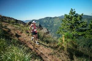 BIB: 
                            <button type="button" onclick="openModal(26612539)" class="btn btn-primary btn-sm float-right btn-popup" data-toggle="modal" data-target=".modal-high-quality">
                        <i class="fas fa-shopping-cart"></i> Add to Cart
                    </button>
                                            <button type="button" onclick="isThisMe(26612539, true)" class="btn btn-success btn-sm float-right btn-popup btn-isme hidden" data-toggle="tooltip" data-placement="bottom" title="นี่คือรูปของคุณใช่ไหม คลิกที่นี่เพื่อเอาเข้าอัลบั้ม">
                        <i class="fas fa-plus"></i> Add to album
                    </button>
                    <button type="button" onclick="isThisMe(26612539, false)" class="btn btn-warning btn-sm float-right btn-popup btn-isnotme hidden">
                        <i class="fas fa-ban"></i> Remove from album
                    </button>