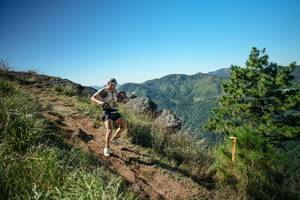 BIB: 
                            <button type="button" onclick="openModal(26612649)" class="btn btn-primary btn-sm float-right btn-popup" data-toggle="modal" data-target=".modal-high-quality">
                        <i class="fas fa-shopping-cart"></i> Add to Cart
                    </button>
                                            <button type="button" onclick="isThisMe(26612649, true)" class="btn btn-success btn-sm float-right btn-popup btn-isme hidden" data-toggle="tooltip" data-placement="bottom" title="นี่คือรูปของคุณใช่ไหม คลิกที่นี่เพื่อเอาเข้าอัลบั้ม">
                        <i class="fas fa-plus"></i> Add to album
                    </button>
                    <button type="button" onclick="isThisMe(26612649, false)" class="btn btn-warning btn-sm float-right btn-popup btn-isnotme hidden">
                        <i class="fas fa-ban"></i> Remove from album
                    </button>