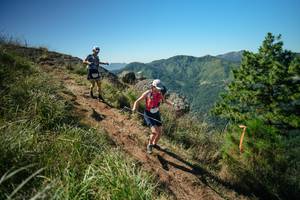 BIB: 
                            <button type="button" onclick="openModal(26613345)" class="btn btn-primary btn-sm float-right btn-popup" data-toggle="modal" data-target=".modal-high-quality">
                        <i class="fas fa-shopping-cart"></i> Add to Cart
                    </button>
                                            <button type="button" onclick="isThisMe(26613345, true)" class="btn btn-success btn-sm float-right btn-popup btn-isme hidden" data-toggle="tooltip" data-placement="bottom" title="นี่คือรูปของคุณใช่ไหม คลิกที่นี่เพื่อเอาเข้าอัลบั้ม">
                        <i class="fas fa-plus"></i> Add to album
                    </button>
                    <button type="button" onclick="isThisMe(26613345, false)" class="btn btn-warning btn-sm float-right btn-popup btn-isnotme hidden">
                        <i class="fas fa-ban"></i> Remove from album
                    </button>