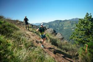 BIB: 
                            <button type="button" onclick="openModal(26613661)" class="btn btn-primary btn-sm float-right btn-popup" data-toggle="modal" data-target=".modal-high-quality">
                        <i class="fas fa-shopping-cart"></i> Add to Cart
                    </button>
                                            <button type="button" onclick="isThisMe(26613661, true)" class="btn btn-success btn-sm float-right btn-popup btn-isme hidden" data-toggle="tooltip" data-placement="bottom" title="นี่คือรูปของคุณใช่ไหม คลิกที่นี่เพื่อเอาเข้าอัลบั้ม">
                        <i class="fas fa-plus"></i> Add to album
                    </button>
                    <button type="button" onclick="isThisMe(26613661, false)" class="btn btn-warning btn-sm float-right btn-popup btn-isnotme hidden">
                        <i class="fas fa-ban"></i> Remove from album
                    </button>