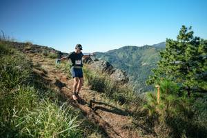 BIB: 
                            <button type="button" onclick="openModal(26612420)" class="btn btn-primary btn-sm float-right btn-popup" data-toggle="modal" data-target=".modal-high-quality">
                        <i class="fas fa-shopping-cart"></i> Add to Cart
                    </button>
                                            <button type="button" onclick="isThisMe(26612420, true)" class="btn btn-success btn-sm float-right btn-popup btn-isme hidden" data-toggle="tooltip" data-placement="bottom" title="นี่คือรูปของคุณใช่ไหม คลิกที่นี่เพื่อเอาเข้าอัลบั้ม">
                        <i class="fas fa-plus"></i> Add to album
                    </button>
                    <button type="button" onclick="isThisMe(26612420, false)" class="btn btn-warning btn-sm float-right btn-popup btn-isnotme hidden">
                        <i class="fas fa-ban"></i> Remove from album
                    </button>