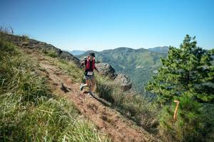 BIB: 
                            <button type="button" onclick="openModal(26640976)" class="btn btn-primary btn-sm float-right btn-popup" data-toggle="modal" data-target=".modal-high-quality">
                        <i class="fas fa-shopping-cart"></i> Add to Cart
                    </button>
                                            <button type="button" onclick="isThisMe(26640976, true)" class="btn btn-success btn-sm float-right btn-popup btn-isme hidden" data-toggle="tooltip" data-placement="bottom" title="นี่คือรูปของคุณใช่ไหม คลิกที่นี่เพื่อเอาเข้าอัลบั้ม">
                        <i class="fas fa-plus"></i> Add to album
                    </button>
                    <button type="button" onclick="isThisMe(26640976, false)" class="btn btn-warning btn-sm float-right btn-popup btn-isnotme hidden">
                        <i class="fas fa-ban"></i> Remove from album
                    </button>