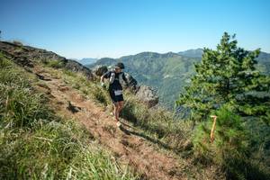 BIB: 
                            <button type="button" onclick="openModal(26641104)" class="btn btn-primary btn-sm float-right btn-popup" data-toggle="modal" data-target=".modal-high-quality">
                        <i class="fas fa-shopping-cart"></i> Add to Cart
                    </button>
                                            <button type="button" onclick="isThisMe(26641104, true)" class="btn btn-success btn-sm float-right btn-popup btn-isme hidden" data-toggle="tooltip" data-placement="bottom" title="นี่คือรูปของคุณใช่ไหม คลิกที่นี่เพื่อเอาเข้าอัลบั้ม">
                        <i class="fas fa-plus"></i> Add to album
                    </button>
                    <button type="button" onclick="isThisMe(26641104, false)" class="btn btn-warning btn-sm float-right btn-popup btn-isnotme hidden">
                        <i class="fas fa-ban"></i> Remove from album
                    </button>