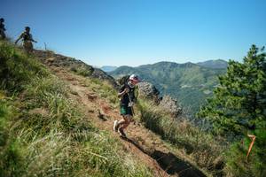 BIB: 
                            <button type="button" onclick="openModal(26641926)" class="btn btn-primary btn-sm float-right btn-popup" data-toggle="modal" data-target=".modal-high-quality">
                        <i class="fas fa-shopping-cart"></i> Add to Cart
                    </button>
                                            <button type="button" onclick="isThisMe(26641926, true)" class="btn btn-success btn-sm float-right btn-popup btn-isme hidden" data-toggle="tooltip" data-placement="bottom" title="นี่คือรูปของคุณใช่ไหม คลิกที่นี่เพื่อเอาเข้าอัลบั้ม">
                        <i class="fas fa-plus"></i> Add to album
                    </button>
                    <button type="button" onclick="isThisMe(26641926, false)" class="btn btn-warning btn-sm float-right btn-popup btn-isnotme hidden">
                        <i class="fas fa-ban"></i> Remove from album
                    </button>