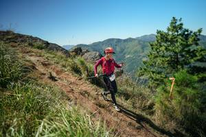 BIB: 
                            <button type="button" onclick="openModal(26642204)" class="btn btn-primary btn-sm float-right btn-popup" data-toggle="modal" data-target=".modal-high-quality">
                        <i class="fas fa-shopping-cart"></i> Add to Cart
                    </button>
                                            <button type="button" onclick="isThisMe(26642204, true)" class="btn btn-success btn-sm float-right btn-popup btn-isme hidden" data-toggle="tooltip" data-placement="bottom" title="นี่คือรูปของคุณใช่ไหม คลิกที่นี่เพื่อเอาเข้าอัลบั้ม">
                        <i class="fas fa-plus"></i> Add to album
                    </button>
                    <button type="button" onclick="isThisMe(26642204, false)" class="btn btn-warning btn-sm float-right btn-popup btn-isnotme hidden">
                        <i class="fas fa-ban"></i> Remove from album
                    </button>