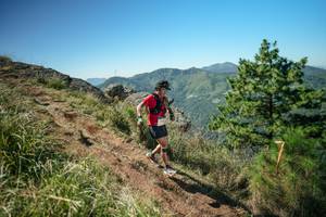 BIB: 
                            <button type="button" onclick="openModal(26642111)" class="btn btn-primary btn-sm float-right btn-popup" data-toggle="modal" data-target=".modal-high-quality">
                        <i class="fas fa-shopping-cart"></i> Add to Cart
                    </button>
                                            <button type="button" onclick="isThisMe(26642111, true)" class="btn btn-success btn-sm float-right btn-popup btn-isme hidden" data-toggle="tooltip" data-placement="bottom" title="นี่คือรูปของคุณใช่ไหม คลิกที่นี่เพื่อเอาเข้าอัลบั้ม">
                        <i class="fas fa-plus"></i> Add to album
                    </button>
                    <button type="button" onclick="isThisMe(26642111, false)" class="btn btn-warning btn-sm float-right btn-popup btn-isnotme hidden">
                        <i class="fas fa-ban"></i> Remove from album
                    </button>