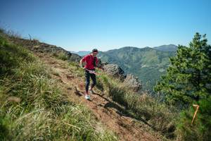 BIB: 
                            <button type="button" onclick="openModal(26641895)" class="btn btn-primary btn-sm float-right btn-popup" data-toggle="modal" data-target=".modal-high-quality">
                        <i class="fas fa-shopping-cart"></i> Add to Cart
                    </button>
                                            <button type="button" onclick="isThisMe(26641895, true)" class="btn btn-success btn-sm float-right btn-popup btn-isme hidden" data-toggle="tooltip" data-placement="bottom" title="นี่คือรูปของคุณใช่ไหม คลิกที่นี่เพื่อเอาเข้าอัลบั้ม">
                        <i class="fas fa-plus"></i> Add to album
                    </button>
                    <button type="button" onclick="isThisMe(26641895, false)" class="btn btn-warning btn-sm float-right btn-popup btn-isnotme hidden">
                        <i class="fas fa-ban"></i> Remove from album
                    </button>