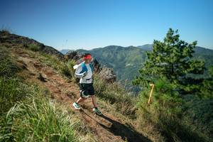 BIB: 
                            <button type="button" onclick="openModal(26642390)" class="btn btn-primary btn-sm float-right btn-popup" data-toggle="modal" data-target=".modal-high-quality">
                        <i class="fas fa-shopping-cart"></i> Add to Cart
                    </button>
                                            <button type="button" onclick="isThisMe(26642390, true)" class="btn btn-success btn-sm float-right btn-popup btn-isme hidden" data-toggle="tooltip" data-placement="bottom" title="นี่คือรูปของคุณใช่ไหม คลิกที่นี่เพื่อเอาเข้าอัลบั้ม">
                        <i class="fas fa-plus"></i> Add to album
                    </button>
                    <button type="button" onclick="isThisMe(26642390, false)" class="btn btn-warning btn-sm float-right btn-popup btn-isnotme hidden">
                        <i class="fas fa-ban"></i> Remove from album
                    </button>