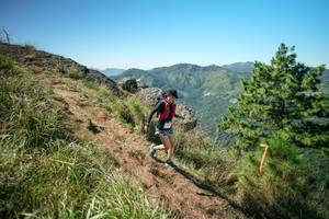 BIB: 
                            <button type="button" onclick="openModal(26640981)" class="btn btn-primary btn-sm float-right btn-popup" data-toggle="modal" data-target=".modal-high-quality">
                        <i class="fas fa-shopping-cart"></i> Add to Cart
                    </button>
                                            <button type="button" onclick="isThisMe(26640981, true)" class="btn btn-success btn-sm float-right btn-popup btn-isme hidden" data-toggle="tooltip" data-placement="bottom" title="นี่คือรูปของคุณใช่ไหม คลิกที่นี่เพื่อเอาเข้าอัลบั้ม">
                        <i class="fas fa-plus"></i> Add to album
                    </button>
                    <button type="button" onclick="isThisMe(26640981, false)" class="btn btn-warning btn-sm float-right btn-popup btn-isnotme hidden">
                        <i class="fas fa-ban"></i> Remove from album
                    </button>