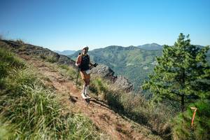 BIB: 
                            <button type="button" onclick="openModal(26641223)" class="btn btn-primary btn-sm float-right btn-popup" data-toggle="modal" data-target=".modal-high-quality">
                        <i class="fas fa-shopping-cart"></i> Add to Cart
                    </button>
                                            <button type="button" onclick="isThisMe(26641223, true)" class="btn btn-success btn-sm float-right btn-popup btn-isme hidden" data-toggle="tooltip" data-placement="bottom" title="นี่คือรูปของคุณใช่ไหม คลิกที่นี่เพื่อเอาเข้าอัลบั้ม">
                        <i class="fas fa-plus"></i> Add to album
                    </button>
                    <button type="button" onclick="isThisMe(26641223, false)" class="btn btn-warning btn-sm float-right btn-popup btn-isnotme hidden">
                        <i class="fas fa-ban"></i> Remove from album
                    </button>