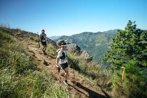 BIB: 
                            <button type="button" onclick="openModal(26640781)" class="btn btn-primary btn-sm float-right btn-popup" data-toggle="modal" data-target=".modal-high-quality">
                        <i class="fas fa-shopping-cart"></i> Add to Cart
                    </button>
                                            <button type="button" onclick="isThisMe(26640781, true)" class="btn btn-success btn-sm float-right btn-popup btn-isme hidden" data-toggle="tooltip" data-placement="bottom" title="นี่คือรูปของคุณใช่ไหม คลิกที่นี่เพื่อเอาเข้าอัลบั้ม">
                        <i class="fas fa-plus"></i> Add to album
                    </button>
                    <button type="button" onclick="isThisMe(26640781, false)" class="btn btn-warning btn-sm float-right btn-popup btn-isnotme hidden">
                        <i class="fas fa-ban"></i> Remove from album
                    </button>