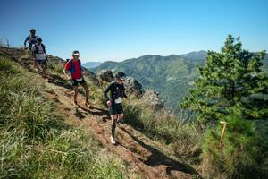 BIB: 
                            <button type="button" onclick="openModal(26641439)" class="btn btn-primary btn-sm float-right btn-popup" data-toggle="modal" data-target=".modal-high-quality">
                        <i class="fas fa-shopping-cart"></i> Add to Cart
                    </button>
                                            <button type="button" onclick="isThisMe(26641439, true)" class="btn btn-success btn-sm float-right btn-popup btn-isme hidden" data-toggle="tooltip" data-placement="bottom" title="นี่คือรูปของคุณใช่ไหม คลิกที่นี่เพื่อเอาเข้าอัลบั้ม">
                        <i class="fas fa-plus"></i> Add to album
                    </button>
                    <button type="button" onclick="isThisMe(26641439, false)" class="btn btn-warning btn-sm float-right btn-popup btn-isnotme hidden">
                        <i class="fas fa-ban"></i> Remove from album
                    </button>