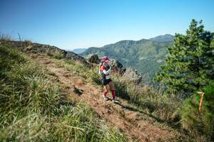 BIB: 
                            <button type="button" onclick="openModal(26640336)" class="btn btn-primary btn-sm float-right btn-popup" data-toggle="modal" data-target=".modal-high-quality">
                        <i class="fas fa-shopping-cart"></i> Add to Cart
                    </button>
                                            <button type="button" onclick="isThisMe(26640336, true)" class="btn btn-success btn-sm float-right btn-popup btn-isme hidden" data-toggle="tooltip" data-placement="bottom" title="นี่คือรูปของคุณใช่ไหม คลิกที่นี่เพื่อเอาเข้าอัลบั้ม">
                        <i class="fas fa-plus"></i> Add to album
                    </button>
                    <button type="button" onclick="isThisMe(26640336, false)" class="btn btn-warning btn-sm float-right btn-popup btn-isnotme hidden">
                        <i class="fas fa-ban"></i> Remove from album
                    </button>