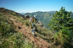 BIB: 
                            <button type="button" onclick="openModal(26640445)" class="btn btn-primary btn-sm float-right btn-popup" data-toggle="modal" data-target=".modal-high-quality">
                        <i class="fas fa-shopping-cart"></i> Add to Cart
                    </button>
                                            <button type="button" onclick="isThisMe(26640445, true)" class="btn btn-success btn-sm float-right btn-popup btn-isme hidden" data-toggle="tooltip" data-placement="bottom" title="นี่คือรูปของคุณใช่ไหม คลิกที่นี่เพื่อเอาเข้าอัลบั้ม">
                        <i class="fas fa-plus"></i> Add to album
                    </button>
                    <button type="button" onclick="isThisMe(26640445, false)" class="btn btn-warning btn-sm float-right btn-popup btn-isnotme hidden">
                        <i class="fas fa-ban"></i> Remove from album
                    </button>