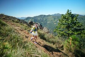 BIB: 
                            <button type="button" onclick="openModal(26641301)" class="btn btn-primary btn-sm float-right btn-popup" data-toggle="modal" data-target=".modal-high-quality">
                        <i class="fas fa-shopping-cart"></i> Add to Cart
                    </button>
                                            <button type="button" onclick="isThisMe(26641301, true)" class="btn btn-success btn-sm float-right btn-popup btn-isme hidden" data-toggle="tooltip" data-placement="bottom" title="นี่คือรูปของคุณใช่ไหม คลิกที่นี่เพื่อเอาเข้าอัลบั้ม">
                        <i class="fas fa-plus"></i> Add to album
                    </button>
                    <button type="button" onclick="isThisMe(26641301, false)" class="btn btn-warning btn-sm float-right btn-popup btn-isnotme hidden">
                        <i class="fas fa-ban"></i> Remove from album
                    </button>