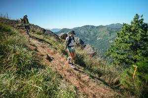 BIB: 
                            <button type="button" onclick="openModal(26640427)" class="btn btn-primary btn-sm float-right btn-popup" data-toggle="modal" data-target=".modal-high-quality">
                        <i class="fas fa-shopping-cart"></i> Add to Cart
                    </button>
                                            <button type="button" onclick="isThisMe(26640427, true)" class="btn btn-success btn-sm float-right btn-popup btn-isme hidden" data-toggle="tooltip" data-placement="bottom" title="นี่คือรูปของคุณใช่ไหม คลิกที่นี่เพื่อเอาเข้าอัลบั้ม">
                        <i class="fas fa-plus"></i> Add to album
                    </button>
                    <button type="button" onclick="isThisMe(26640427, false)" class="btn btn-warning btn-sm float-right btn-popup btn-isnotme hidden">
                        <i class="fas fa-ban"></i> Remove from album
                    </button>