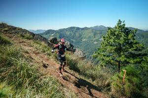 BIB: 
                            <button type="button" onclick="openModal(26641271)" class="btn btn-primary btn-sm float-right btn-popup" data-toggle="modal" data-target=".modal-high-quality">
                        <i class="fas fa-shopping-cart"></i> Add to Cart
                    </button>
                                            <button type="button" onclick="isThisMe(26641271, true)" class="btn btn-success btn-sm float-right btn-popup btn-isme hidden" data-toggle="tooltip" data-placement="bottom" title="นี่คือรูปของคุณใช่ไหม คลิกที่นี่เพื่อเอาเข้าอัลบั้ม">
                        <i class="fas fa-plus"></i> Add to album
                    </button>
                    <button type="button" onclick="isThisMe(26641271, false)" class="btn btn-warning btn-sm float-right btn-popup btn-isnotme hidden">
                        <i class="fas fa-ban"></i> Remove from album
                    </button>