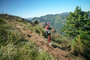 BIB: 
                            <button type="button" onclick="openModal(26640352)" class="btn btn-primary btn-sm float-right btn-popup" data-toggle="modal" data-target=".modal-high-quality">
                        <i class="fas fa-shopping-cart"></i> Add to Cart
                    </button>
                                            <button type="button" onclick="isThisMe(26640352, true)" class="btn btn-success btn-sm float-right btn-popup btn-isme hidden" data-toggle="tooltip" data-placement="bottom" title="นี่คือรูปของคุณใช่ไหม คลิกที่นี่เพื่อเอาเข้าอัลบั้ม">
                        <i class="fas fa-plus"></i> Add to album
                    </button>
                    <button type="button" onclick="isThisMe(26640352, false)" class="btn btn-warning btn-sm float-right btn-popup btn-isnotme hidden">
                        <i class="fas fa-ban"></i> Remove from album
                    </button>