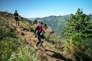 BIB: 
                            <button type="button" onclick="openModal(26640567)" class="btn btn-primary btn-sm float-right btn-popup" data-toggle="modal" data-target=".modal-high-quality">
                        <i class="fas fa-shopping-cart"></i> Add to Cart
                    </button>
                                            <button type="button" onclick="isThisMe(26640567, true)" class="btn btn-success btn-sm float-right btn-popup btn-isme hidden" data-toggle="tooltip" data-placement="bottom" title="นี่คือรูปของคุณใช่ไหม คลิกที่นี่เพื่อเอาเข้าอัลบั้ม">
                        <i class="fas fa-plus"></i> Add to album
                    </button>
                    <button type="button" onclick="isThisMe(26640567, false)" class="btn btn-warning btn-sm float-right btn-popup btn-isnotme hidden">
                        <i class="fas fa-ban"></i> Remove from album
                    </button>