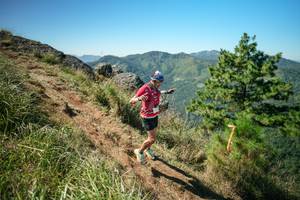 BIB: 
                            <button type="button" onclick="openModal(26640879)" class="btn btn-primary btn-sm float-right btn-popup" data-toggle="modal" data-target=".modal-high-quality">
                        <i class="fas fa-shopping-cart"></i> Add to Cart
                    </button>
                                            <button type="button" onclick="isThisMe(26640879, true)" class="btn btn-success btn-sm float-right btn-popup btn-isme hidden" data-toggle="tooltip" data-placement="bottom" title="นี่คือรูปของคุณใช่ไหม คลิกที่นี่เพื่อเอาเข้าอัลบั้ม">
                        <i class="fas fa-plus"></i> Add to album
                    </button>
                    <button type="button" onclick="isThisMe(26640879, false)" class="btn btn-warning btn-sm float-right btn-popup btn-isnotme hidden">
                        <i class="fas fa-ban"></i> Remove from album
                    </button>