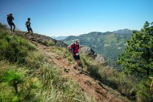 BIB: 
                            <button type="button" onclick="openModal(26641315)" class="btn btn-primary btn-sm float-right btn-popup" data-toggle="modal" data-target=".modal-high-quality">
                        <i class="fas fa-shopping-cart"></i> Add to Cart
                    </button>
                                            <button type="button" onclick="isThisMe(26641315, true)" class="btn btn-success btn-sm float-right btn-popup btn-isme hidden" data-toggle="tooltip" data-placement="bottom" title="นี่คือรูปของคุณใช่ไหม คลิกที่นี่เพื่อเอาเข้าอัลบั้ม">
                        <i class="fas fa-plus"></i> Add to album
                    </button>
                    <button type="button" onclick="isThisMe(26641315, false)" class="btn btn-warning btn-sm float-right btn-popup btn-isnotme hidden">
                        <i class="fas fa-ban"></i> Remove from album
                    </button>