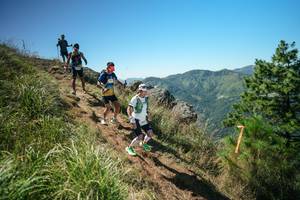 BIB: 
                            <button type="button" onclick="openModal(26641605)" class="btn btn-primary btn-sm float-right btn-popup" data-toggle="modal" data-target=".modal-high-quality">
                        <i class="fas fa-shopping-cart"></i> Add to Cart
                    </button>
                                            <button type="button" onclick="isThisMe(26641605, true)" class="btn btn-success btn-sm float-right btn-popup btn-isme hidden" data-toggle="tooltip" data-placement="bottom" title="นี่คือรูปของคุณใช่ไหม คลิกที่นี่เพื่อเอาเข้าอัลบั้ม">
                        <i class="fas fa-plus"></i> Add to album
                    </button>
                    <button type="button" onclick="isThisMe(26641605, false)" class="btn btn-warning btn-sm float-right btn-popup btn-isnotme hidden">
                        <i class="fas fa-ban"></i> Remove from album
                    </button>