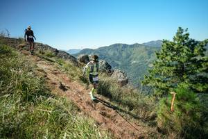 BIB: 
                            <button type="button" onclick="openModal(26640930)" class="btn btn-primary btn-sm float-right btn-popup" data-toggle="modal" data-target=".modal-high-quality">
                        <i class="fas fa-shopping-cart"></i> Add to Cart
                    </button>
                                            <button type="button" onclick="isThisMe(26640930, true)" class="btn btn-success btn-sm float-right btn-popup btn-isme hidden" data-toggle="tooltip" data-placement="bottom" title="นี่คือรูปของคุณใช่ไหม คลิกที่นี่เพื่อเอาเข้าอัลบั้ม">
                        <i class="fas fa-plus"></i> Add to album
                    </button>
                    <button type="button" onclick="isThisMe(26640930, false)" class="btn btn-warning btn-sm float-right btn-popup btn-isnotme hidden">
                        <i class="fas fa-ban"></i> Remove from album
                    </button>