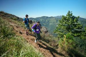 BIB: 
                            <button type="button" onclick="openModal(26641733)" class="btn btn-primary btn-sm float-right btn-popup" data-toggle="modal" data-target=".modal-high-quality">
                        <i class="fas fa-shopping-cart"></i> Add to Cart
                    </button>
                                            <button type="button" onclick="isThisMe(26641733, true)" class="btn btn-success btn-sm float-right btn-popup btn-isme hidden" data-toggle="tooltip" data-placement="bottom" title="นี่คือรูปของคุณใช่ไหม คลิกที่นี่เพื่อเอาเข้าอัลบั้ม">
                        <i class="fas fa-plus"></i> Add to album
                    </button>
                    <button type="button" onclick="isThisMe(26641733, false)" class="btn btn-warning btn-sm float-right btn-popup btn-isnotme hidden">
                        <i class="fas fa-ban"></i> Remove from album
                    </button>