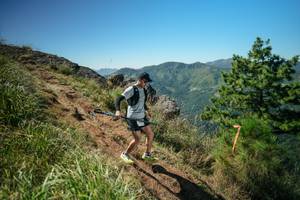 BIB: 
                            <button type="button" onclick="openModal(26642274)" class="btn btn-primary btn-sm float-right btn-popup" data-toggle="modal" data-target=".modal-high-quality">
                        <i class="fas fa-shopping-cart"></i> Add to Cart
                    </button>
                                            <button type="button" onclick="isThisMe(26642274, true)" class="btn btn-success btn-sm float-right btn-popup btn-isme hidden" data-toggle="tooltip" data-placement="bottom" title="นี่คือรูปของคุณใช่ไหม คลิกที่นี่เพื่อเอาเข้าอัลบั้ม">
                        <i class="fas fa-plus"></i> Add to album
                    </button>
                    <button type="button" onclick="isThisMe(26642274, false)" class="btn btn-warning btn-sm float-right btn-popup btn-isnotme hidden">
                        <i class="fas fa-ban"></i> Remove from album
                    </button>