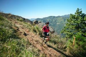 BIB: 
                            <button type="button" onclick="openModal(26640547)" class="btn btn-primary btn-sm float-right btn-popup" data-toggle="modal" data-target=".modal-high-quality">
                        <i class="fas fa-shopping-cart"></i> Add to Cart
                    </button>
                                            <button type="button" onclick="isThisMe(26640547, true)" class="btn btn-success btn-sm float-right btn-popup btn-isme hidden" data-toggle="tooltip" data-placement="bottom" title="นี่คือรูปของคุณใช่ไหม คลิกที่นี่เพื่อเอาเข้าอัลบั้ม">
                        <i class="fas fa-plus"></i> Add to album
                    </button>
                    <button type="button" onclick="isThisMe(26640547, false)" class="btn btn-warning btn-sm float-right btn-popup btn-isnotme hidden">
                        <i class="fas fa-ban"></i> Remove from album
                    </button>