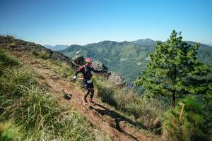 BIB: 
                            <button type="button" onclick="openModal(26641274)" class="btn btn-primary btn-sm float-right btn-popup" data-toggle="modal" data-target=".modal-high-quality">
                        <i class="fas fa-shopping-cart"></i> Add to Cart
                    </button>
                                            <button type="button" onclick="isThisMe(26641274, true)" class="btn btn-success btn-sm float-right btn-popup btn-isme hidden" data-toggle="tooltip" data-placement="bottom" title="นี่คือรูปของคุณใช่ไหม คลิกที่นี่เพื่อเอาเข้าอัลบั้ม">
                        <i class="fas fa-plus"></i> Add to album
                    </button>
                    <button type="button" onclick="isThisMe(26641274, false)" class="btn btn-warning btn-sm float-right btn-popup btn-isnotme hidden">
                        <i class="fas fa-ban"></i> Remove from album
                    </button>