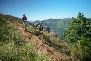 BIB: 
                            <button type="button" onclick="openModal(26641879)" class="btn btn-primary btn-sm float-right btn-popup" data-toggle="modal" data-target=".modal-high-quality">
                        <i class="fas fa-shopping-cart"></i> Add to Cart
                    </button>
                                            <button type="button" onclick="isThisMe(26641879, true)" class="btn btn-success btn-sm float-right btn-popup btn-isme hidden" data-toggle="tooltip" data-placement="bottom" title="นี่คือรูปของคุณใช่ไหม คลิกที่นี่เพื่อเอาเข้าอัลบั้ม">
                        <i class="fas fa-plus"></i> Add to album
                    </button>
                    <button type="button" onclick="isThisMe(26641879, false)" class="btn btn-warning btn-sm float-right btn-popup btn-isnotme hidden">
                        <i class="fas fa-ban"></i> Remove from album
                    </button>