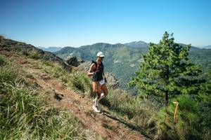 BIB: 
                            <button type="button" onclick="openModal(26641233)" class="btn btn-primary btn-sm float-right btn-popup" data-toggle="modal" data-target=".modal-high-quality">
                        <i class="fas fa-shopping-cart"></i> Add to Cart
                    </button>
                                            <button type="button" onclick="isThisMe(26641233, true)" class="btn btn-success btn-sm float-right btn-popup btn-isme hidden" data-toggle="tooltip" data-placement="bottom" title="นี่คือรูปของคุณใช่ไหม คลิกที่นี่เพื่อเอาเข้าอัลบั้ม">
                        <i class="fas fa-plus"></i> Add to album
                    </button>
                    <button type="button" onclick="isThisMe(26641233, false)" class="btn btn-warning btn-sm float-right btn-popup btn-isnotme hidden">
                        <i class="fas fa-ban"></i> Remove from album
                    </button>