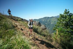 BIB: 
                            <button type="button" onclick="openModal(26641554)" class="btn btn-primary btn-sm float-right btn-popup" data-toggle="modal" data-target=".modal-high-quality">
                        <i class="fas fa-shopping-cart"></i> Add to Cart
                    </button>
                                            <button type="button" onclick="isThisMe(26641554, true)" class="btn btn-success btn-sm float-right btn-popup btn-isme hidden" data-toggle="tooltip" data-placement="bottom" title="นี่คือรูปของคุณใช่ไหม คลิกที่นี่เพื่อเอาเข้าอัลบั้ม">
                        <i class="fas fa-plus"></i> Add to album
                    </button>
                    <button type="button" onclick="isThisMe(26641554, false)" class="btn btn-warning btn-sm float-right btn-popup btn-isnotme hidden">
                        <i class="fas fa-ban"></i> Remove from album
                    </button>