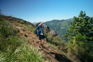 BIB: 
                            <button type="button" onclick="openModal(26642339)" class="btn btn-primary btn-sm float-right btn-popup" data-toggle="modal" data-target=".modal-high-quality">
                        <i class="fas fa-shopping-cart"></i> Add to Cart
                    </button>
                                            <button type="button" onclick="isThisMe(26642339, true)" class="btn btn-success btn-sm float-right btn-popup btn-isme hidden" data-toggle="tooltip" data-placement="bottom" title="นี่คือรูปของคุณใช่ไหม คลิกที่นี่เพื่อเอาเข้าอัลบั้ม">
                        <i class="fas fa-plus"></i> Add to album
                    </button>
                    <button type="button" onclick="isThisMe(26642339, false)" class="btn btn-warning btn-sm float-right btn-popup btn-isnotme hidden">
                        <i class="fas fa-ban"></i> Remove from album
                    </button>