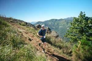 BIB: 
                            <button type="button" onclick="openModal(26641375)" class="btn btn-primary btn-sm float-right btn-popup" data-toggle="modal" data-target=".modal-high-quality">
                        <i class="fas fa-shopping-cart"></i> Add to Cart
                    </button>
                                            <button type="button" onclick="isThisMe(26641375, true)" class="btn btn-success btn-sm float-right btn-popup btn-isme hidden" data-toggle="tooltip" data-placement="bottom" title="นี่คือรูปของคุณใช่ไหม คลิกที่นี่เพื่อเอาเข้าอัลบั้ม">
                        <i class="fas fa-plus"></i> Add to album
                    </button>
                    <button type="button" onclick="isThisMe(26641375, false)" class="btn btn-warning btn-sm float-right btn-popup btn-isnotme hidden">
                        <i class="fas fa-ban"></i> Remove from album
                    </button>