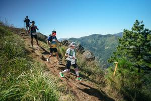 BIB: 
                            <button type="button" onclick="openModal(26641609)" class="btn btn-primary btn-sm float-right btn-popup" data-toggle="modal" data-target=".modal-high-quality">
                        <i class="fas fa-shopping-cart"></i> Add to Cart
                    </button>
                                            <button type="button" onclick="isThisMe(26641609, true)" class="btn btn-success btn-sm float-right btn-popup btn-isme hidden" data-toggle="tooltip" data-placement="bottom" title="นี่คือรูปของคุณใช่ไหม คลิกที่นี่เพื่อเอาเข้าอัลบั้ม">
                        <i class="fas fa-plus"></i> Add to album
                    </button>
                    <button type="button" onclick="isThisMe(26641609, false)" class="btn btn-warning btn-sm float-right btn-popup btn-isnotme hidden">
                        <i class="fas fa-ban"></i> Remove from album
                    </button>