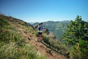 BIB: 
                            <button type="button" onclick="openModal(26642072)" class="btn btn-primary btn-sm float-right btn-popup" data-toggle="modal" data-target=".modal-high-quality">
                        <i class="fas fa-shopping-cart"></i> Add to Cart
                    </button>
                                            <button type="button" onclick="isThisMe(26642072, true)" class="btn btn-success btn-sm float-right btn-popup btn-isme hidden" data-toggle="tooltip" data-placement="bottom" title="นี่คือรูปของคุณใช่ไหม คลิกที่นี่เพื่อเอาเข้าอัลบั้ม">
                        <i class="fas fa-plus"></i> Add to album
                    </button>
                    <button type="button" onclick="isThisMe(26642072, false)" class="btn btn-warning btn-sm float-right btn-popup btn-isnotme hidden">
                        <i class="fas fa-ban"></i> Remove from album
                    </button>