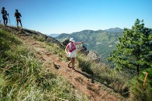 BIB: 
                            <button type="button" onclick="openModal(26641199)" class="btn btn-primary btn-sm float-right btn-popup" data-toggle="modal" data-target=".modal-high-quality">
                        <i class="fas fa-shopping-cart"></i> Add to Cart
                    </button>
                                            <button type="button" onclick="isThisMe(26641199, true)" class="btn btn-success btn-sm float-right btn-popup btn-isme hidden" data-toggle="tooltip" data-placement="bottom" title="นี่คือรูปของคุณใช่ไหม คลิกที่นี่เพื่อเอาเข้าอัลบั้ม">
                        <i class="fas fa-plus"></i> Add to album
                    </button>
                    <button type="button" onclick="isThisMe(26641199, false)" class="btn btn-warning btn-sm float-right btn-popup btn-isnotme hidden">
                        <i class="fas fa-ban"></i> Remove from album
                    </button>