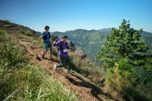 BIB: 
                            <button type="button" onclick="openModal(26641728)" class="btn btn-primary btn-sm float-right btn-popup" data-toggle="modal" data-target=".modal-high-quality">
                        <i class="fas fa-shopping-cart"></i> Add to Cart
                    </button>
                                            <button type="button" onclick="isThisMe(26641728, true)" class="btn btn-success btn-sm float-right btn-popup btn-isme hidden" data-toggle="tooltip" data-placement="bottom" title="นี่คือรูปของคุณใช่ไหม คลิกที่นี่เพื่อเอาเข้าอัลบั้ม">
                        <i class="fas fa-plus"></i> Add to album
                    </button>
                    <button type="button" onclick="isThisMe(26641728, false)" class="btn btn-warning btn-sm float-right btn-popup btn-isnotme hidden">
                        <i class="fas fa-ban"></i> Remove from album
                    </button>