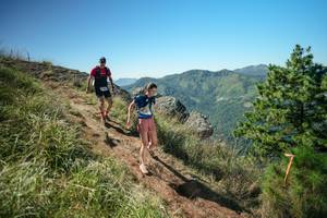 BIB: 
                            <button type="button" onclick="openModal(26641467)" class="btn btn-primary btn-sm float-right btn-popup" data-toggle="modal" data-target=".modal-high-quality">
                        <i class="fas fa-shopping-cart"></i> Add to Cart
                    </button>
                                            <button type="button" onclick="isThisMe(26641467, true)" class="btn btn-success btn-sm float-right btn-popup btn-isme hidden" data-toggle="tooltip" data-placement="bottom" title="นี่คือรูปของคุณใช่ไหม คลิกที่นี่เพื่อเอาเข้าอัลบั้ม">
                        <i class="fas fa-plus"></i> Add to album
                    </button>
                    <button type="button" onclick="isThisMe(26641467, false)" class="btn btn-warning btn-sm float-right btn-popup btn-isnotme hidden">
                        <i class="fas fa-ban"></i> Remove from album
                    </button>