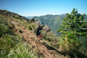 BIB: 
                            <button type="button" onclick="openModal(26640590)" class="btn btn-primary btn-sm float-right btn-popup" data-toggle="modal" data-target=".modal-high-quality">
                        <i class="fas fa-shopping-cart"></i> Add to Cart
                    </button>
                                            <button type="button" onclick="isThisMe(26640590, true)" class="btn btn-success btn-sm float-right btn-popup btn-isme hidden" data-toggle="tooltip" data-placement="bottom" title="นี่คือรูปของคุณใช่ไหม คลิกที่นี่เพื่อเอาเข้าอัลบั้ม">
                        <i class="fas fa-plus"></i> Add to album
                    </button>
                    <button type="button" onclick="isThisMe(26640590, false)" class="btn btn-warning btn-sm float-right btn-popup btn-isnotme hidden">
                        <i class="fas fa-ban"></i> Remove from album
                    </button>