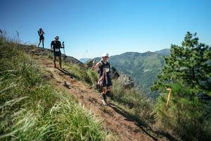 BIB: 
                            <button type="button" onclick="openModal(26643275)" class="btn btn-primary btn-sm float-right btn-popup" data-toggle="modal" data-target=".modal-high-quality">
                        <i class="fas fa-shopping-cart"></i> Add to Cart
                    </button>
                                            <button type="button" onclick="isThisMe(26643275, true)" class="btn btn-success btn-sm float-right btn-popup btn-isme hidden" data-toggle="tooltip" data-placement="bottom" title="นี่คือรูปของคุณใช่ไหม คลิกที่นี่เพื่อเอาเข้าอัลบั้ม">
                        <i class="fas fa-plus"></i> Add to album
                    </button>
                    <button type="button" onclick="isThisMe(26643275, false)" class="btn btn-warning btn-sm float-right btn-popup btn-isnotme hidden">
                        <i class="fas fa-ban"></i> Remove from album
                    </button>