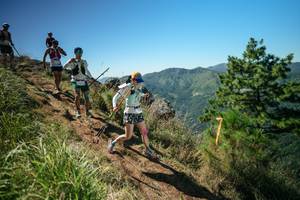 BIB: 
                            <button type="button" onclick="openModal(26643003)" class="btn btn-primary btn-sm float-right btn-popup" data-toggle="modal" data-target=".modal-high-quality">
                        <i class="fas fa-shopping-cart"></i> Add to Cart
                    </button>
                                            <button type="button" onclick="isThisMe(26643003, true)" class="btn btn-success btn-sm float-right btn-popup btn-isme hidden" data-toggle="tooltip" data-placement="bottom" title="นี่คือรูปของคุณใช่ไหม คลิกที่นี่เพื่อเอาเข้าอัลบั้ม">
                        <i class="fas fa-plus"></i> Add to album
                    </button>
                    <button type="button" onclick="isThisMe(26643003, false)" class="btn btn-warning btn-sm float-right btn-popup btn-isnotme hidden">
                        <i class="fas fa-ban"></i> Remove from album
                    </button>