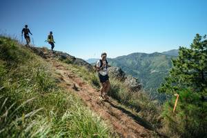 BIB: 
                            <button type="button" onclick="openModal(26643357)" class="btn btn-primary btn-sm float-right btn-popup" data-toggle="modal" data-target=".modal-high-quality">
                        <i class="fas fa-shopping-cart"></i> Add to Cart
                    </button>
                                            <button type="button" onclick="isThisMe(26643357, true)" class="btn btn-success btn-sm float-right btn-popup btn-isme hidden" data-toggle="tooltip" data-placement="bottom" title="นี่คือรูปของคุณใช่ไหม คลิกที่นี่เพื่อเอาเข้าอัลบั้ม">
                        <i class="fas fa-plus"></i> Add to album
                    </button>
                    <button type="button" onclick="isThisMe(26643357, false)" class="btn btn-warning btn-sm float-right btn-popup btn-isnotme hidden">
                        <i class="fas fa-ban"></i> Remove from album
                    </button>