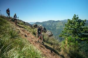 BIB: 
                            <button type="button" onclick="openModal(26643189)" class="btn btn-primary btn-sm float-right btn-popup" data-toggle="modal" data-target=".modal-high-quality">
                        <i class="fas fa-shopping-cart"></i> Add to Cart
                    </button>
                                            <button type="button" onclick="isThisMe(26643189, true)" class="btn btn-success btn-sm float-right btn-popup btn-isme hidden" data-toggle="tooltip" data-placement="bottom" title="นี่คือรูปของคุณใช่ไหม คลิกที่นี่เพื่อเอาเข้าอัลบั้ม">
                        <i class="fas fa-plus"></i> Add to album
                    </button>
                    <button type="button" onclick="isThisMe(26643189, false)" class="btn btn-warning btn-sm float-right btn-popup btn-isnotme hidden">
                        <i class="fas fa-ban"></i> Remove from album
                    </button>