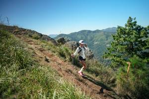 BIB: 
                            <button type="button" onclick="openModal(26643647)" class="btn btn-primary btn-sm float-right btn-popup" data-toggle="modal" data-target=".modal-high-quality">
                        <i class="fas fa-shopping-cart"></i> Add to Cart
                    </button>
                                            <button type="button" onclick="isThisMe(26643647, true)" class="btn btn-success btn-sm float-right btn-popup btn-isme hidden" data-toggle="tooltip" data-placement="bottom" title="นี่คือรูปของคุณใช่ไหม คลิกที่นี่เพื่อเอาเข้าอัลบั้ม">
                        <i class="fas fa-plus"></i> Add to album
                    </button>
                    <button type="button" onclick="isThisMe(26643647, false)" class="btn btn-warning btn-sm float-right btn-popup btn-isnotme hidden">
                        <i class="fas fa-ban"></i> Remove from album
                    </button>